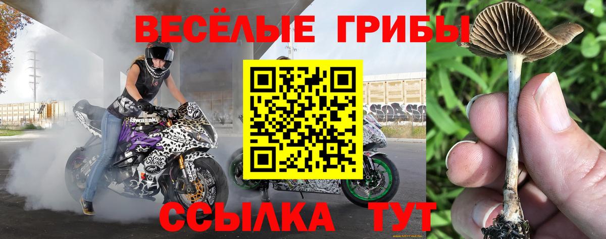 Галлюциногенные грибы Psilocybine cubensis  Галлюциногенные грибы GOLDEN TEACHER  Вход с VPN  Урюпинск 